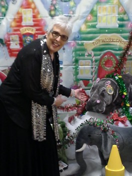 Christmas Hippo.jpg